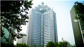洛陽(yáng)開(kāi)元礦業(yè)集團(tuán)有限公司，始成立于2006年，主營(yíng)業(yè)務(wù)涵蓋礦產(chǎn)品貿(mào)易、礦山開(kāi)發(fā)、酒店服務(wù)、房地產(chǎn)開(kāi)發(fā)和金融投資等，集團(tuán)位于洛陽(yáng)市開(kāi)元大道世貿(mào)中心；中國(guó)民主建國(guó)會(huì)會(huì)員、青年企業(yè)家許明月先生是公司創(chuàng)始人和實(shí)際控制人，目前任洛陽(yáng)開(kāi)元礦業(yè)集團(tuán)有限公司董事長(zhǎng)兼總經(jīng)理。