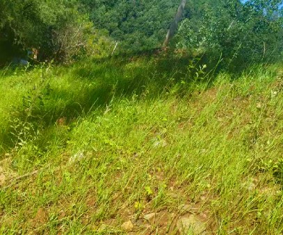 柳關(guān)欒盧鉛鋅礦|治理排土“瘡疤”，繪就綠色畫卷